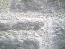 millstreet 13770.jpg